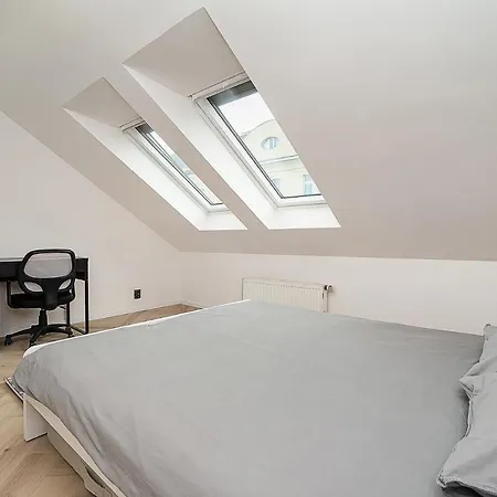 Big 4-Bedroom Flat, Terrace With Great Vitkov View Prague Exterior photo