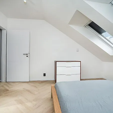Big 4-Bedroom Flat, Terrace With Great Vitkov View Prague Exterior photo