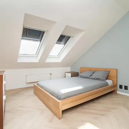 Big 4-Bedroom Flat, Terrace With Great Vitkov View Prague Exterior photo
